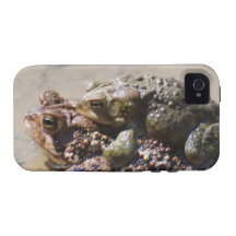 Iphone 4 Vibe QPC template iPhone 4/4 - Customised iPhone 4 Covers