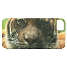 iphone 5 barely there qpc template iP - Customised