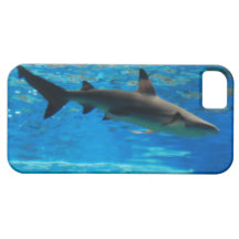 iphone 5 barely there qpc template iP - Customised