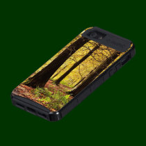 iPhone 5 Cover - Fall Colours