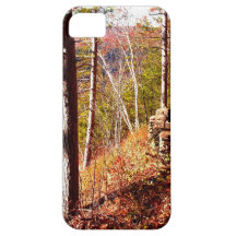 iPhone 5 Leo Harrison St Pk Cliffside Path iPhone 5 Cover