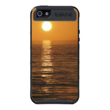 iPhone 5 Tropical Sunset Case