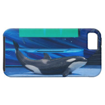 iphone 5 vibe QPC template iPhone 5 C - Customised Case For The iPhone 5
