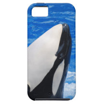 iphone 5 vibe QPC template iPhone 5 C - Customised iPhone 5 Case