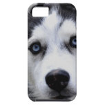 iphone 5 vibe QPC template iPhone 5 C - Customised iPhone 5 Covers