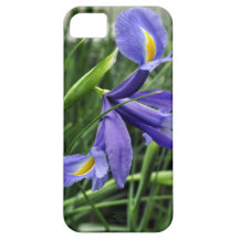 iPhone Cover - Purple Orchid iPhone 5 Covers