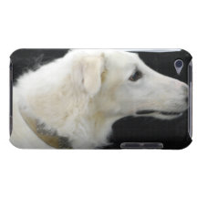 iPod Touch Case - Customised