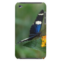 iPod Touch Case - Customised