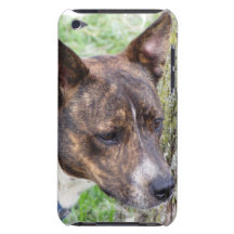 iPod Touch Case - Customised