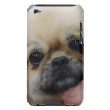 iPod Touch Case - Customised