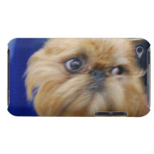 iPod Touch Case - Customised