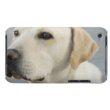 iPod Touch Case - Customised