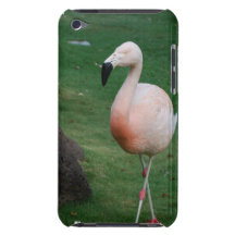 iPod Touch Case - Customised