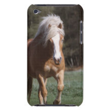 iPod Touch Case - Customised