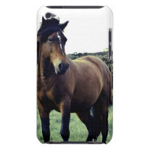 iPod Touch Case - Customised