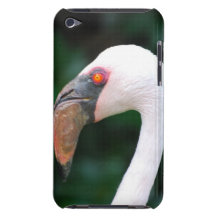 iPod Touch Case - Customised