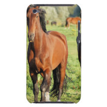iPod Touch Case - Customised