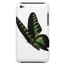 iPod Touch Case - Customised