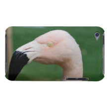 iPod Touch Case - Customised
