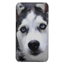 iPod Touch Case - Customised