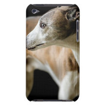 iPod Touch Case - Customised