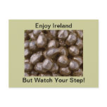 Ireland Sheep Poo Postcard