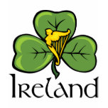 Ireland Tee Shirt