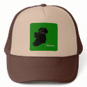 iReland Trucker Hat