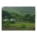 Irelands Green Fild cards