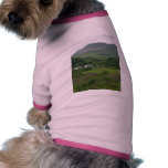 Irelands Green Fild pet clothing