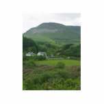 Irelands Green Fild photo sculptures