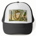 Ireland's Historical Emblems hats