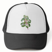 Iresine Herbstii, Aureo-Reticulata Mesh Hat