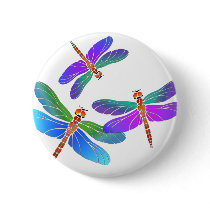 Iridescent Dive Bombing Dragonflies