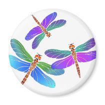 Iridescent Dive Bombing Dragonflies