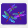 Iridescent Dive Bombing Dragonflies