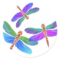 Iridescent Dive Bombing Dragonflies