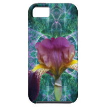 Iris and its meaning
