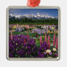 Iris and Lupine garden and Teton Range, Christmas Ornaments