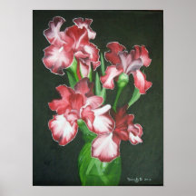 Iris Breeze Posters