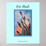 Iris Buds Poster posters