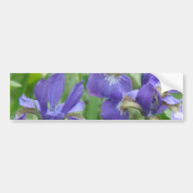 Iris Bulbs Bumper Sticker