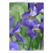 Iris Bulbs Greeting Card