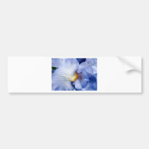 Iris Bumper Stickers