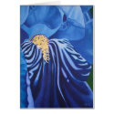 Iris Card