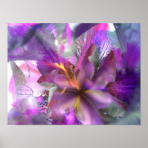 Iris dream - print