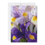 Iris flowers custom invitations