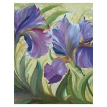 IRIS FLYER