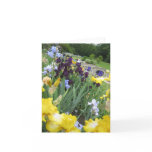 Iris Garden Small Blank Note Card
