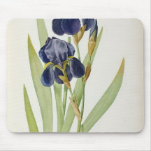 Iris Germanica, from `Les Liliacees', 1805 Mouse Pad